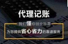 成都高新區代理記賬的業務范圍 