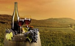 錦江區農業公司注冊資金多少合適?成都農業開發公司注冊條件? 